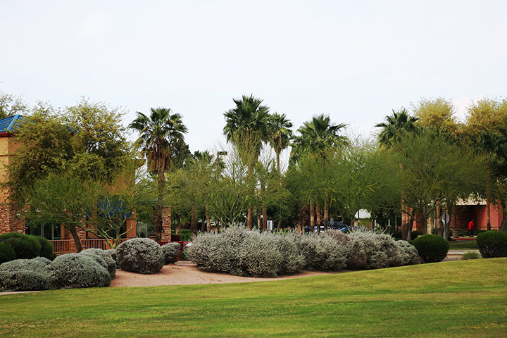 03252014 - View of the town of Gilbert, Ariz. on Civic Center Drive and Gilbert Road, hours before a dust storm. Photo by Alec Damiano / JMC 351
